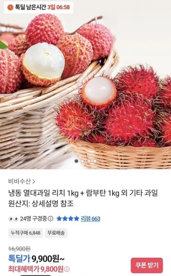 냉동 열대과일 리치 kg + 람부탄 1kg 외 기타과일 (다양/무료)1