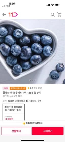 칠레산 생 블루베리 6팩 (4,360원 / 무배)1