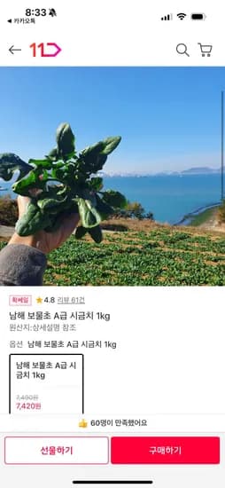 남해 보물초 A급 시금치 1kg(,420/무료)7