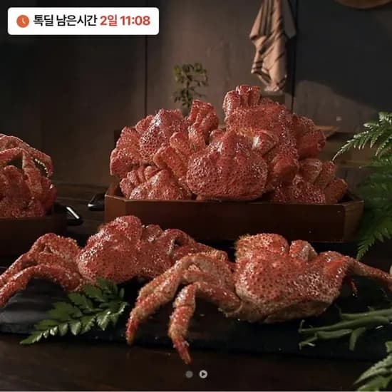 한농식 자연산 스노우 레드크랩 3마리 (39,900원/무배)