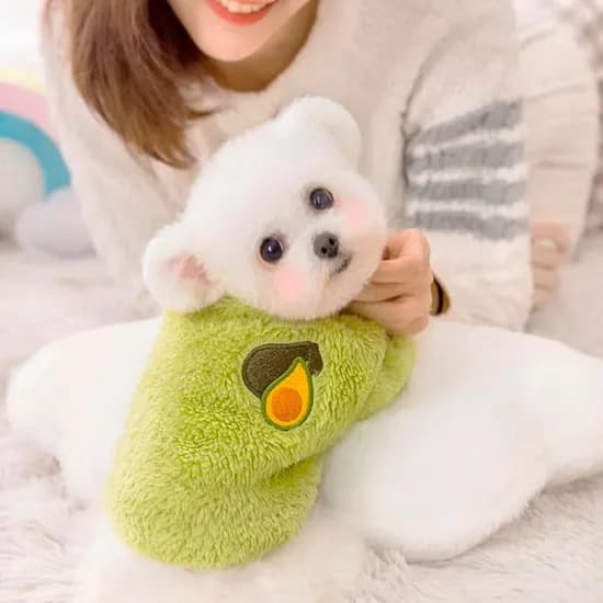 1+1 반려견 후리스 티셔츠 (8,910원/무료)