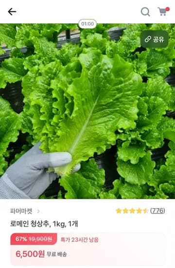 로메인 청상추 1kg (6,500원/무배)
