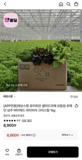 유러피안 샐러드야채 모듬쌈 kg 1