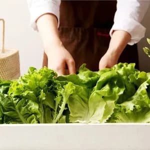 샐러드채소 외 다양 동원샘물