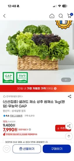 샐러드 채소 1kg