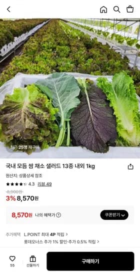 국내 모듬 쌈 채소 샐러드 3종 내외 1kg