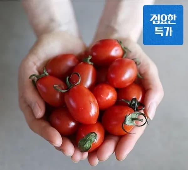 대추방울토마토 라인바싸 자포니카 민물장어 외 다양