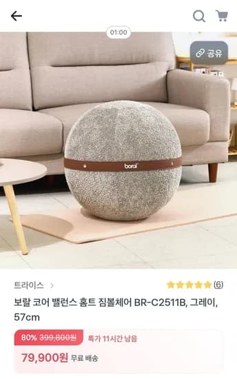 보랄 코어 밸런스 홈트 짐볼체어 57cm