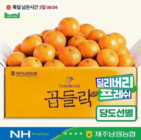 비가림감귤 대과 2kg