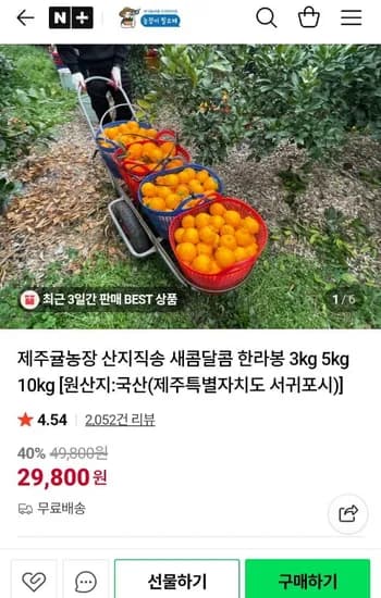제주 산지직송 한라봉 중소과 10kg