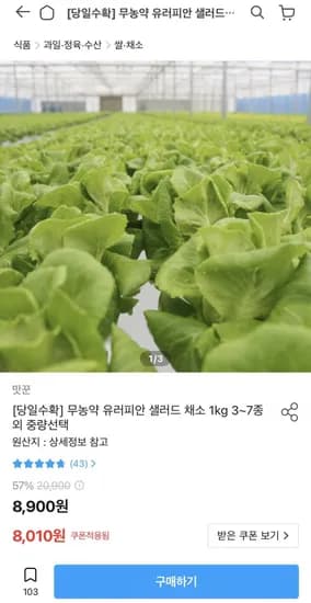 무농약 유러피안 샐러드 채소 1.5kg