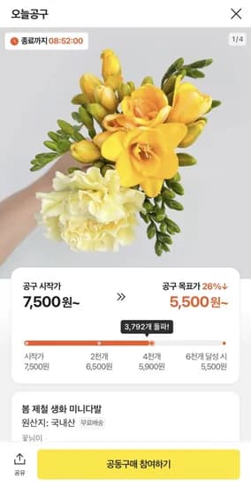 프리지아 10줄기 랜덤꽃 1송이