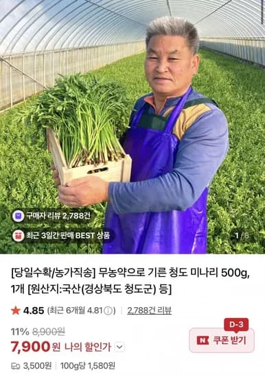 무농약 청도 미나리 500g