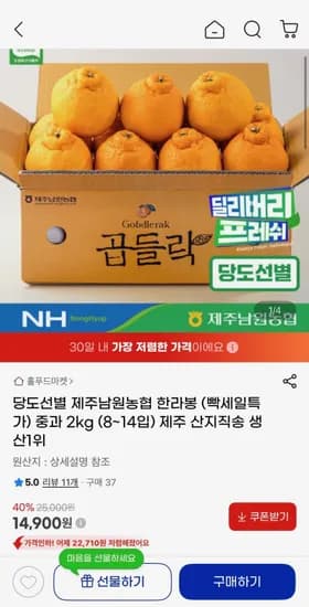 제주남원농협 한라봉 중과 2kg