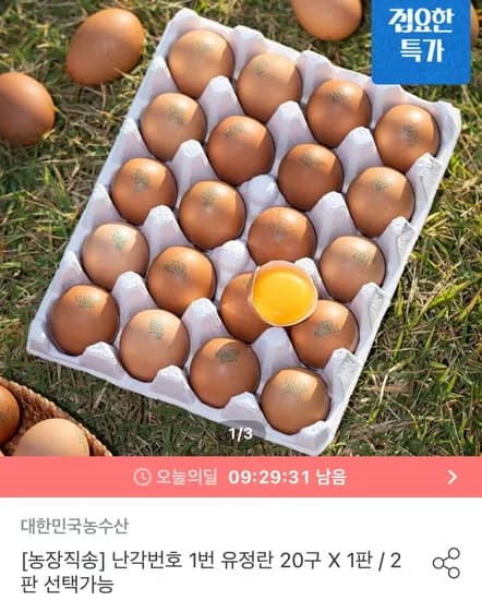 난각번호 1번 유정란 대란 20구 2판