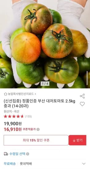 대저토마토 2.5kg 중과 14-20과
