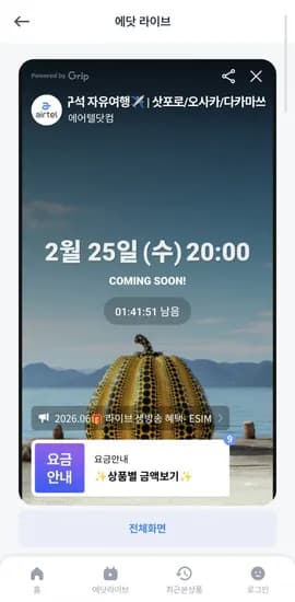 일본 에어텔 오키나와 오사카 삿포로 다카마쓰