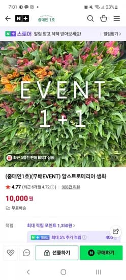 알스트로메리아 생화 1+1 이벤트