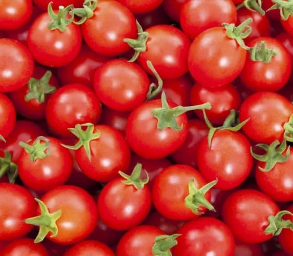 대추방울토마토 외 다양 삼형제편육