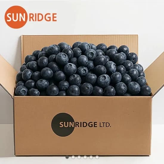 칠레산 생 블루베리 125g 5팩