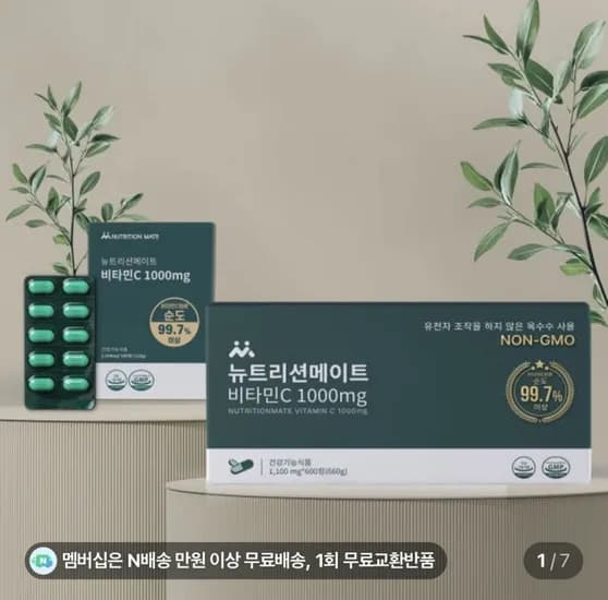 비타민c 1000mg 100정