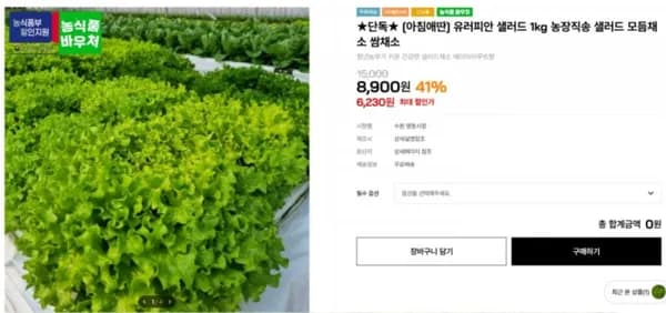 유러피안 샐러드 1kg