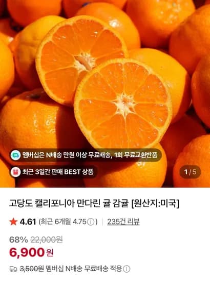 캘리포니아 만다린 1kg 로얄과