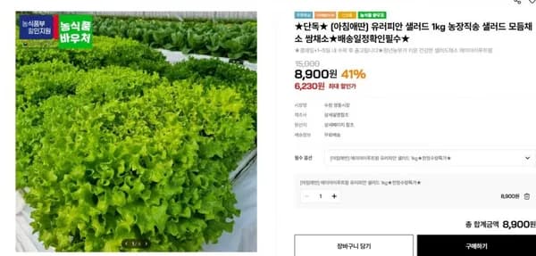 프리미엄 거목촌 찹쌀 10kg 유러피안 샐러드 1kg