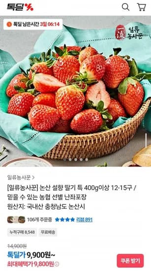논산 설향 딸기 특 400g 이상 12-15구