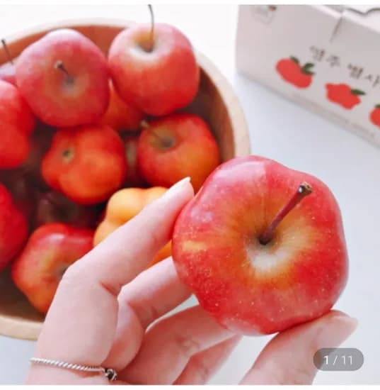 영주 미니 별사과 17~25 내외