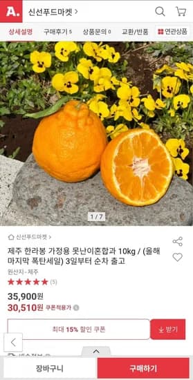 제주 한라봉 가정용 못난이혼합과 10kg