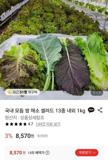 국내 모듬 쌈 채소 샐러드 3종 내외 1kg