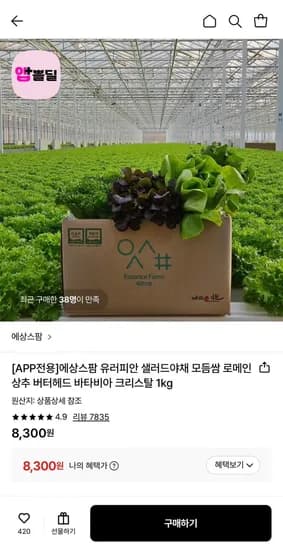 유러피안 샐러드야채 모듬쌈 1kg