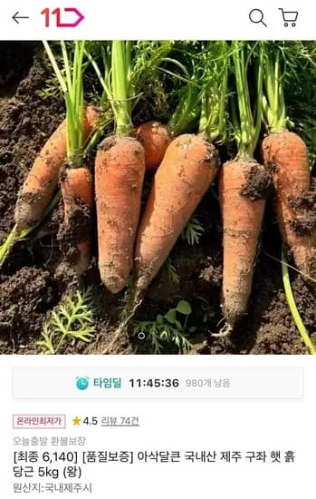 국내산 제주 햇 흙당근 왕 5kg