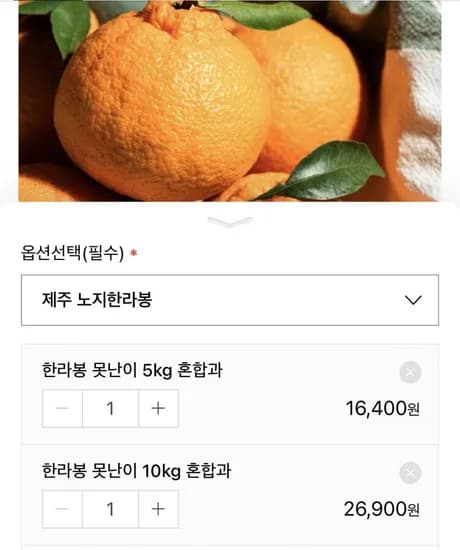 노지 한라봉 못난이 10kg 2