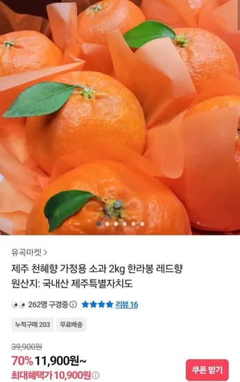 제주 천혜향 가정용 kg 2