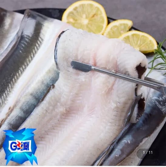 고창 풍천 장어 자포니카 민물장어 700g 소스종 초생강 2개