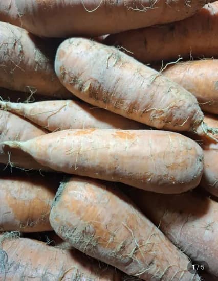 국산 당근 특상 3kg