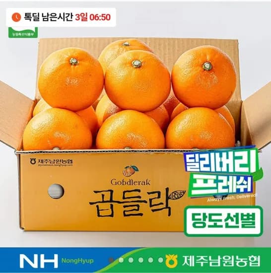 남원농협 곱들락 천혜향 2kg (17,400원/무료)