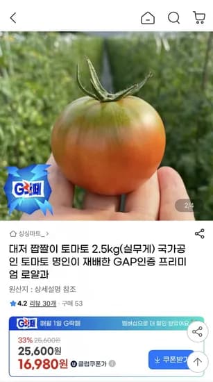 대저 짭짤이 토마토 2.5kg (16,980원 / 무배)