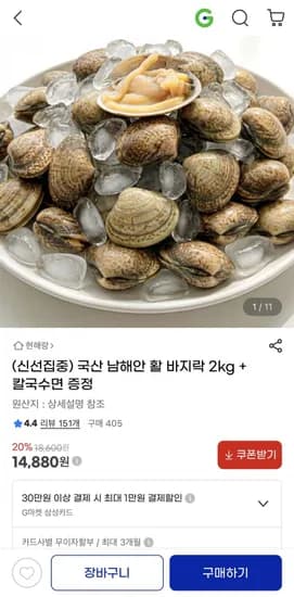 남해안 활 바지락 2kg 100미 내외(14,880/무배)