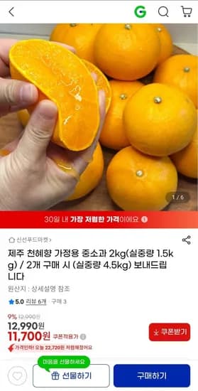 제주 천혜향 가정용 중소과 2kg (11,700원/무배)