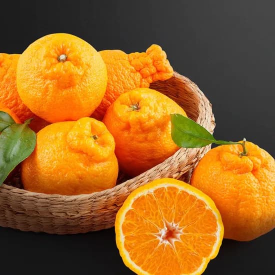 한라봉 2kg 중소과 8-15과 (9,900원/무료)