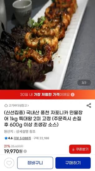 특대 민물장어 1kg 2미 (19,970원/무료)