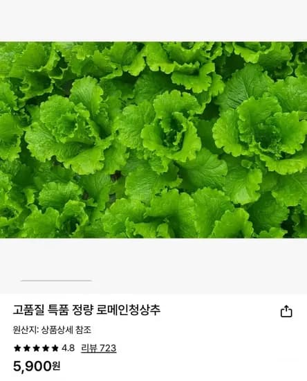 로메인 청상추 1kg (5,900원/무료)