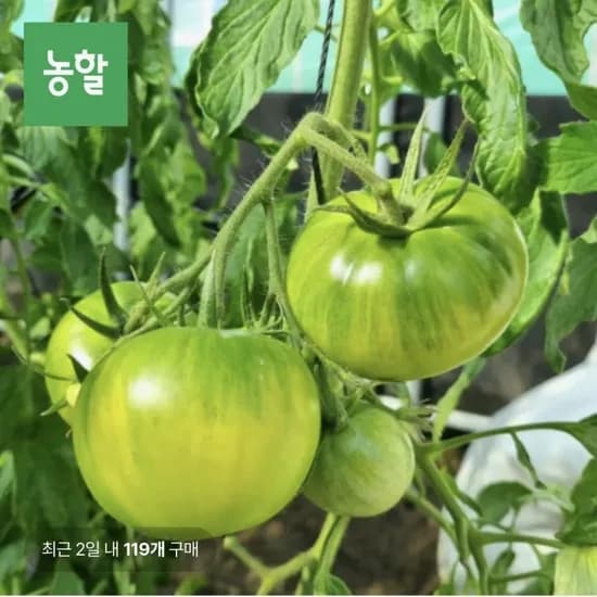 대저 짭짤이 토마토 2.5kg 2S~S (31,180원/무배)