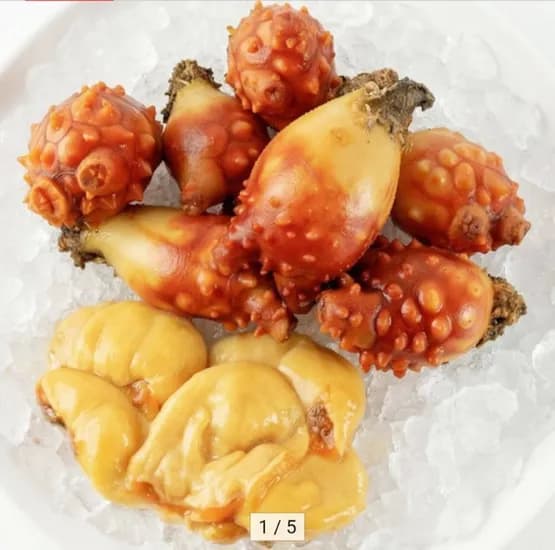 국내산 통영 멍게 3kg (9,920원 / 무배)