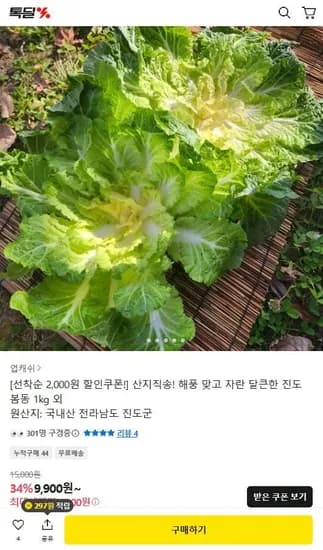 국내산 산지직송 봄동 2kg 7,900원