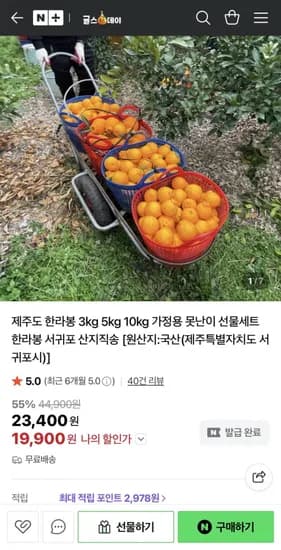 제주도 한라봉 가정용 중소과 3kg (3,900원/무료)1