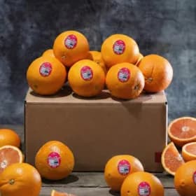 썬키스트 카라 오렌지 대과 15과 3.5kg (유클 16,920원/무료)